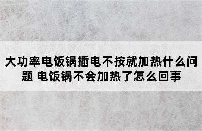 大功率电饭锅插电不按就加热什么问题 电饭锅不会加热了怎么回事